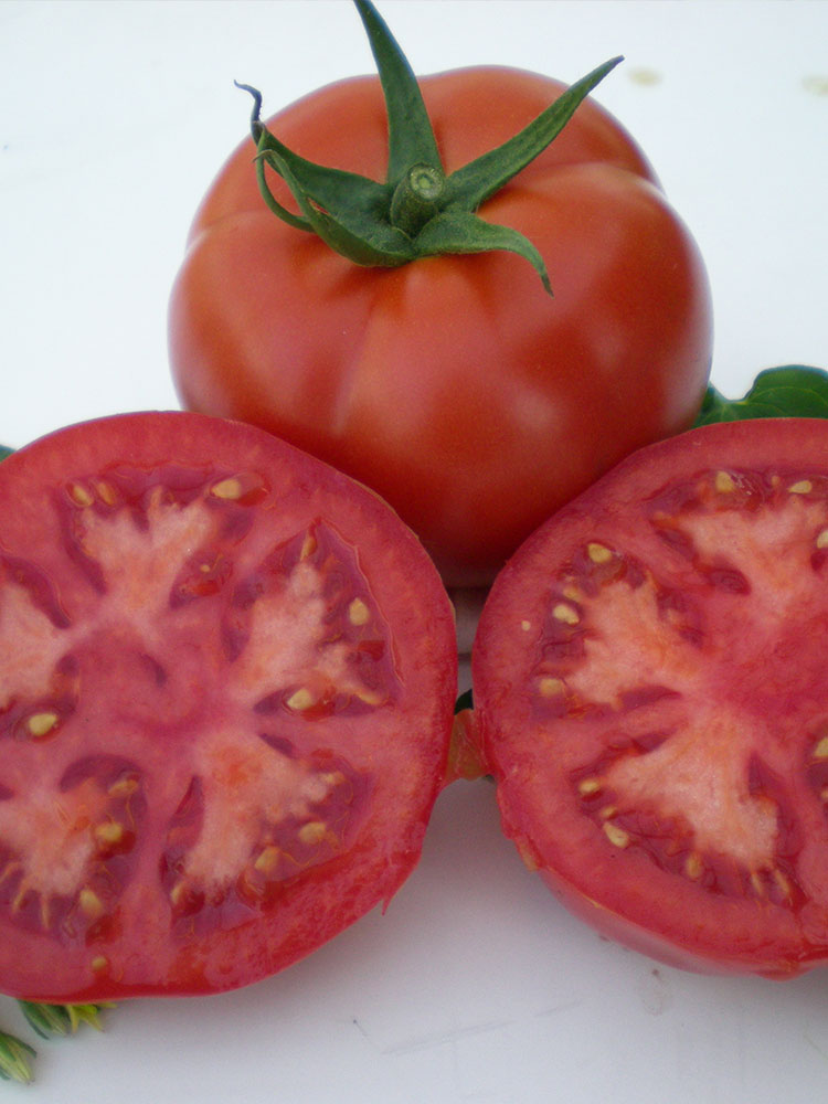 1000 семян томатов. Томат Мейс. Томат томат Мейс f1. Томат Саргас. Семена томатов детерминантные.